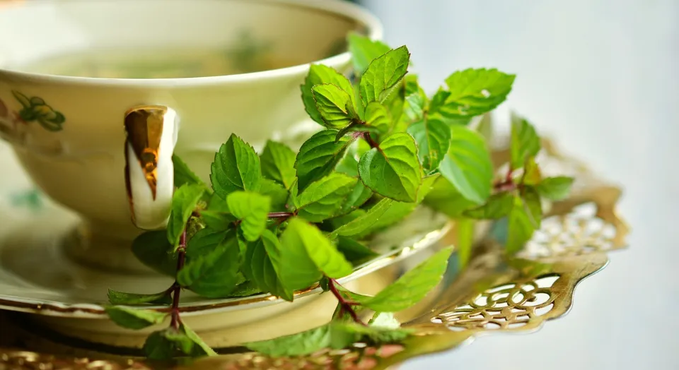 How to Make Iced Green Tea? Recipe