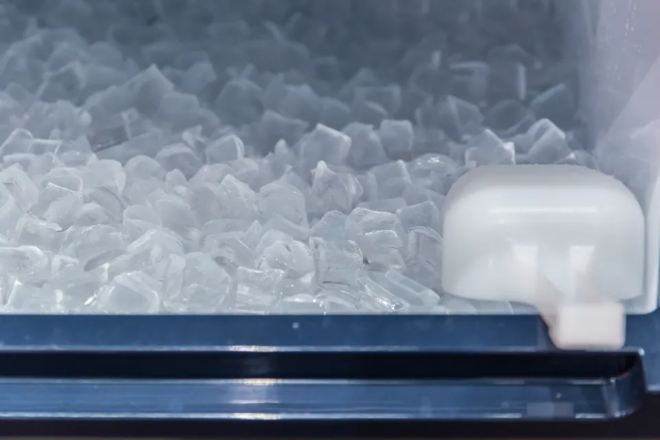 How to Clean a Portable Ice Maker? 10 Simple Steps